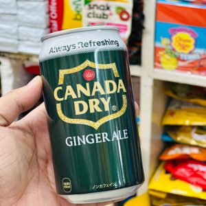 Canada Dry Ginger Ale 355ml can refreshing sparkling ginger soda